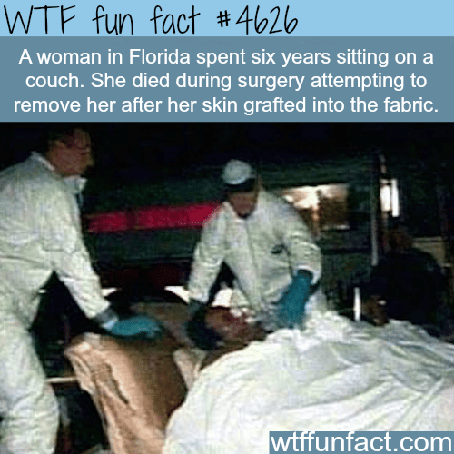 Woman in Florida sat on the couch for six years - WTF fun facts