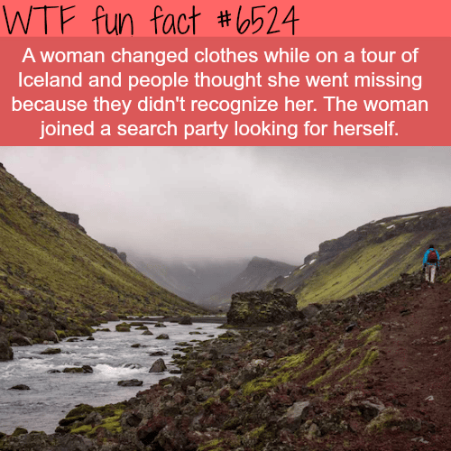 Woman joins a search party looking for herself - WTF fun facts