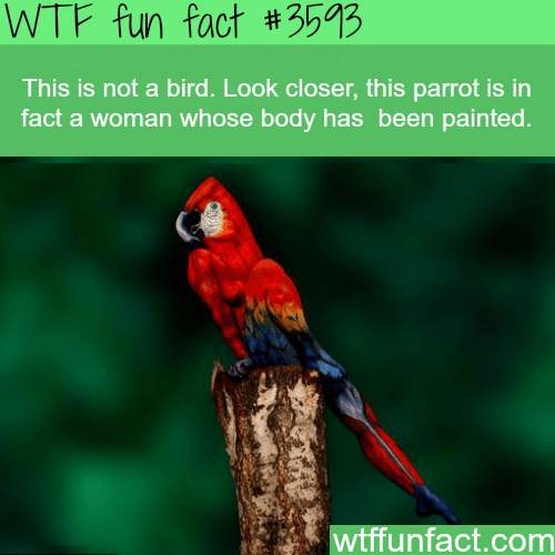 Woman painted as a parrot -  WTF fun facts