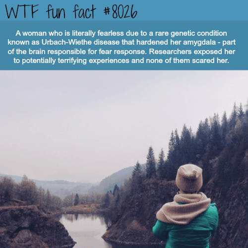 Woman that can’t feel fear - WTF fun fact