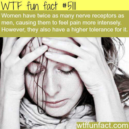 Women have more nerve receptors than men - WTF fun facts