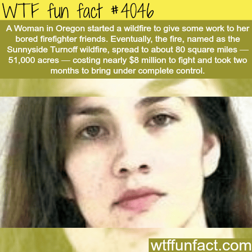 Women started a wildfire to give work to her bored friends - WTF fun facts