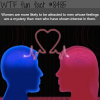 womens psychology wtf fun facts