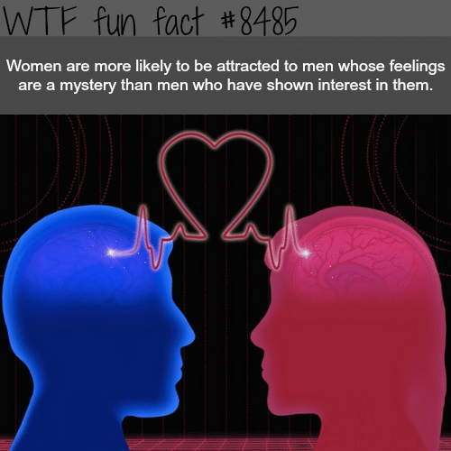 Women’s psychology - WTF fun facts