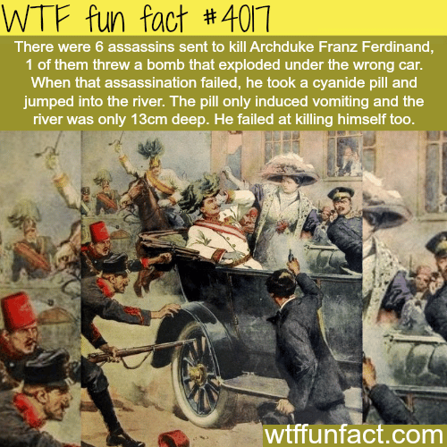 Worst assassin ever - WTF fun facts