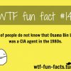 wtf fun facts