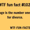 wtf fun facts not a random facts blog