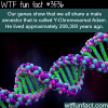 y chromosomal adam dates back more than 200