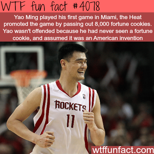 Yao Ming first game in Miami - WTF fun facts