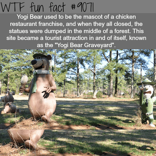 Yogi Bear graveyard - WTF fun facts