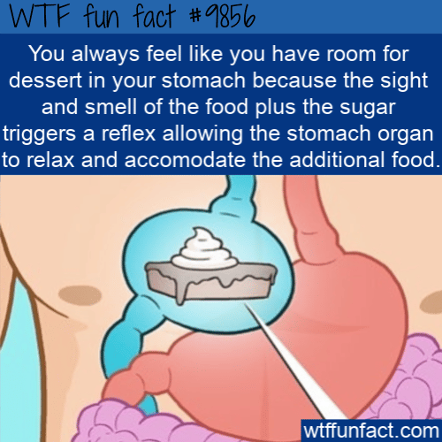 You always feel like you have room for dessert in your stomach because the sight and smell of the food plus the sugar triggers a reflex allowing the stomach organ to relax and accomodate the additional food.
