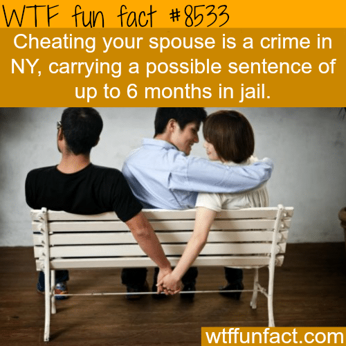 You can go 6 months in jail for adultery in New York - WTF fun facts