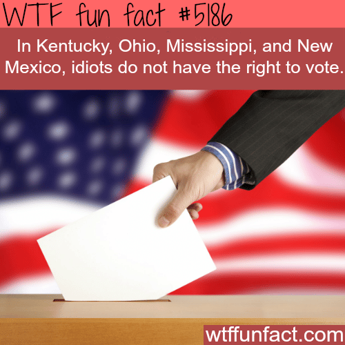 You can’t vote if you are an idiot in these States - WTF fun facts
