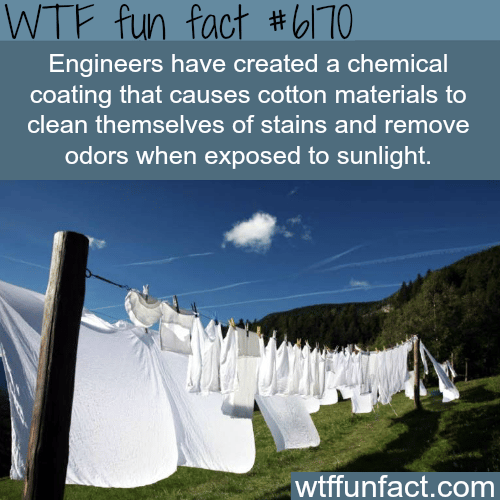 You don’t have to wash your cloths anymore  - WTF fun facts