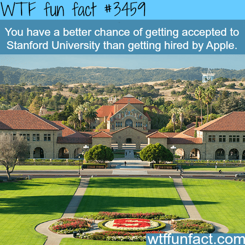 You have a better chance to go to Stanford than…-  WTF fun facts