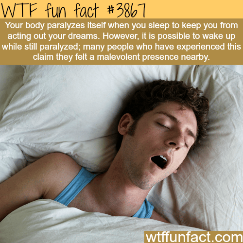 Your body paralyzes itself when you sleep - WTF fun facts