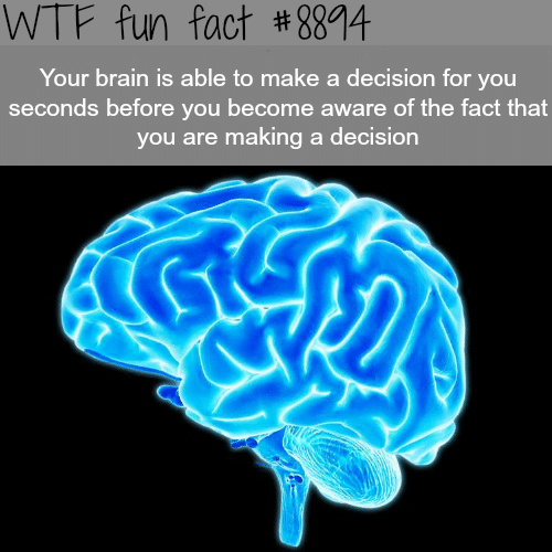 Your brain makes decisions for you before you even know it - WTF fun facts