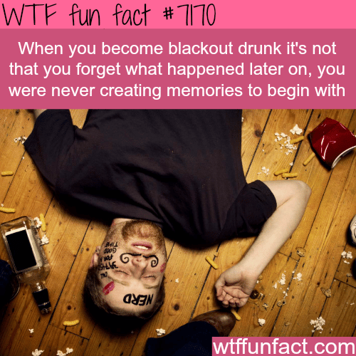 Your brain stop recording memories when you are blackout drunk - WTF Fun Fact
