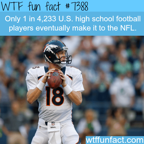 Your chances of being a professional NFL player - WTF fun facts