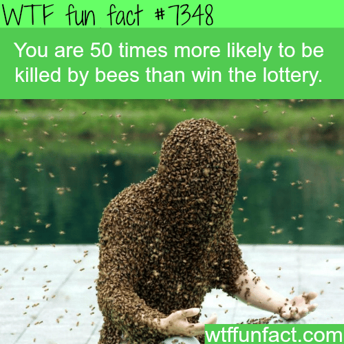 Your chances of winning the lottery - WTF fun facts