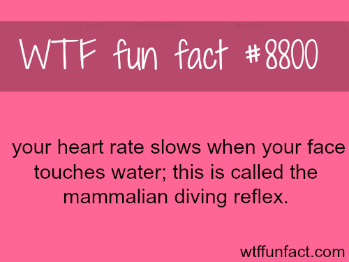 Your Heart Rate Slows Down When You Touch Water - WTF fun facts