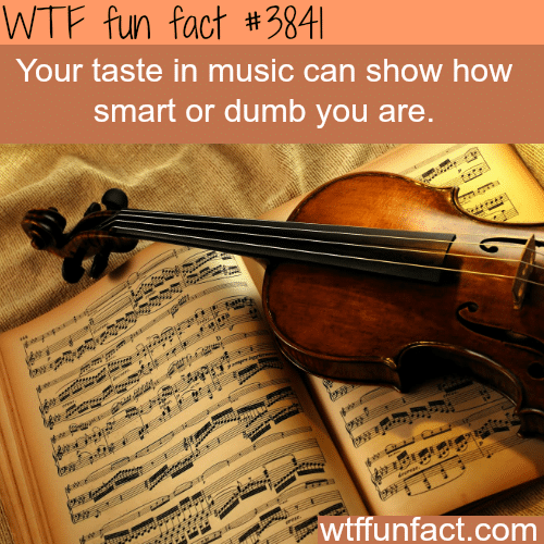 Your taste in music can show your intelligence - WTF fun facts 
