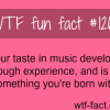your taste in music develops through experience and is n