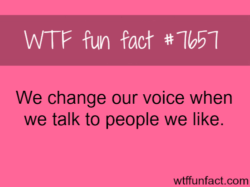 Your voice changes when talking to people you like - WTF fun facts