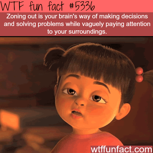 Zoning out - WTF fun facts
