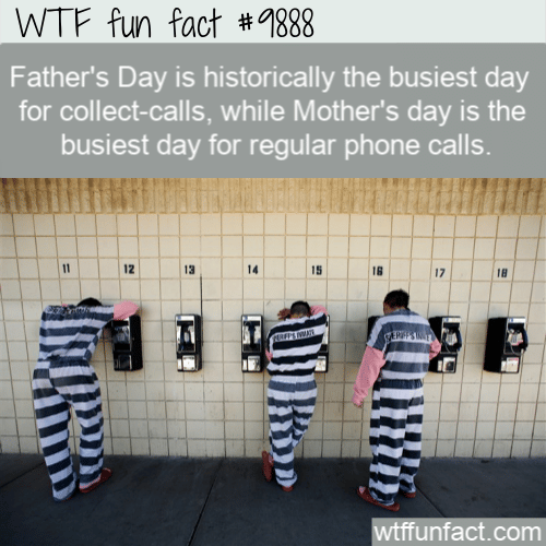weird fact collect calls on fathers day