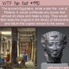 Fun Fact – Ancient Egyptians Book Thieves