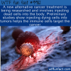 WTF Fun Fact – Dying Cells And Cancer
