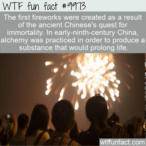 wtf fun fact Fireworks For Immortality