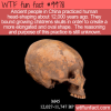 WTF Fun Fact – Head-shaping