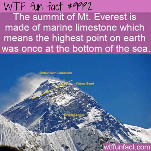 WTF fun Fact - Everest sea floor