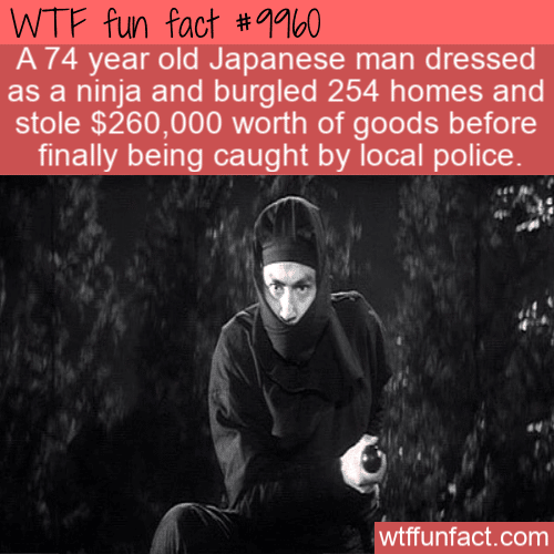 fun fact 74 year old ninja thief