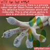 WTF Fun Fact – The Force