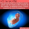Fun Fact – Amniotic Fluid Refresh