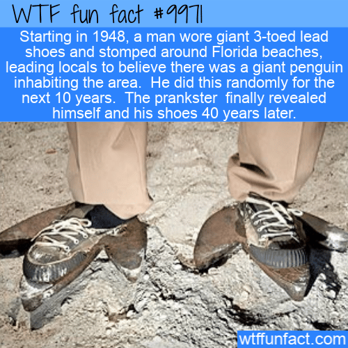 fun fact giant penguin hoax