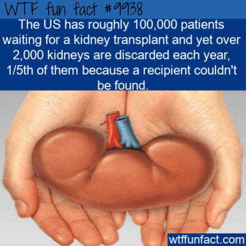 fun fact kidneys discarded