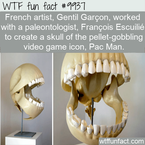 fun fact pac man skull