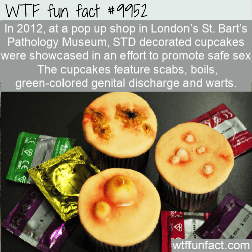fun fact std cupcakes
