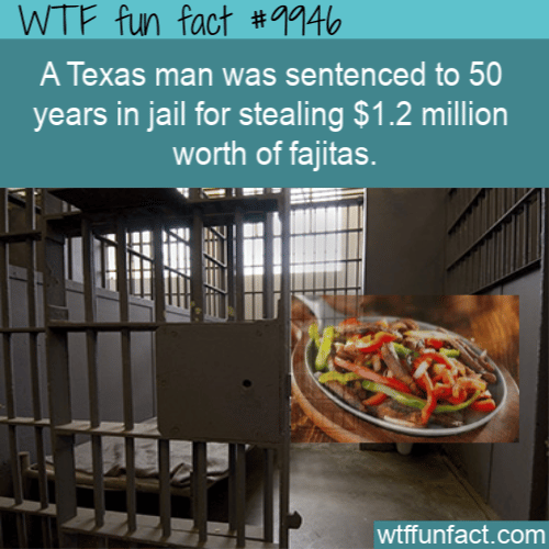 fun fact stolen fajitas