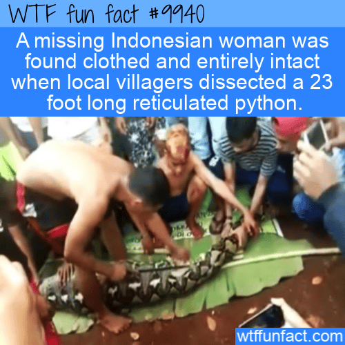 fun fact whole woman in snake