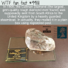 WTF Fun Fact – Mailed Diamond