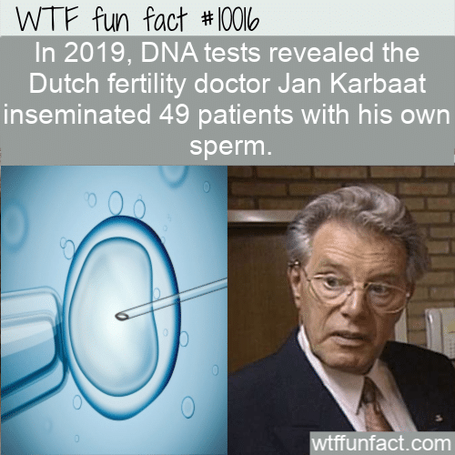 wtf fun fact dutch fertility doctor