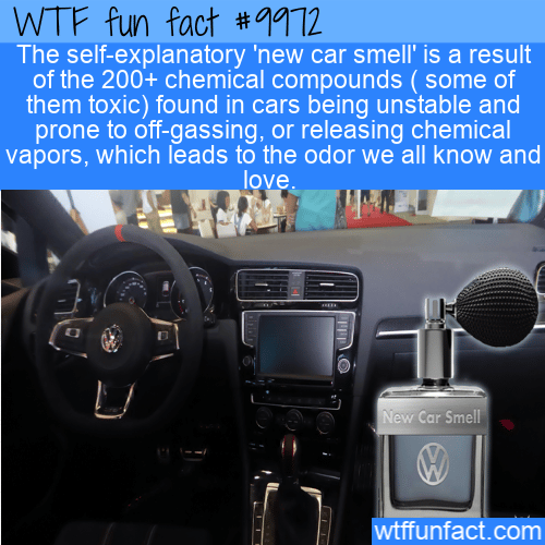 wtf fun fact new car smell toxic
