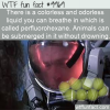 WTF Fun Fact – Breathable Liquid
