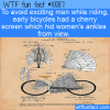 WTF Fun Fact – Cherry Screens