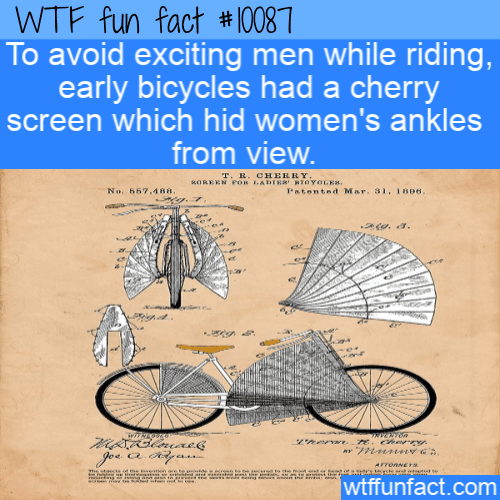 WTF Fun Fact - Cherry Screen